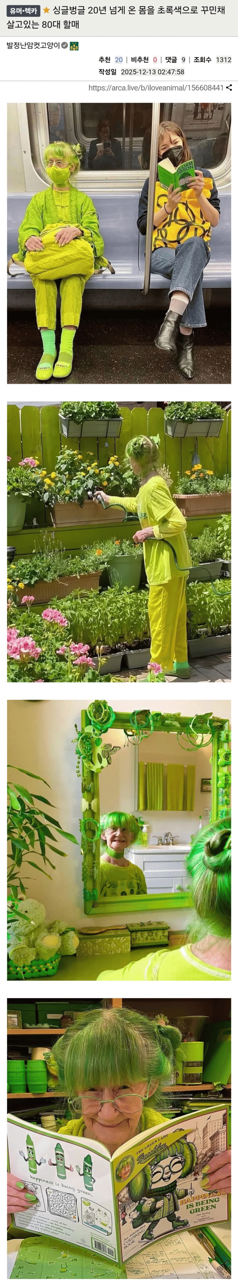 20년 넘게 온 몸을 초록색으로 꾸민채 살고있는 80대 할매