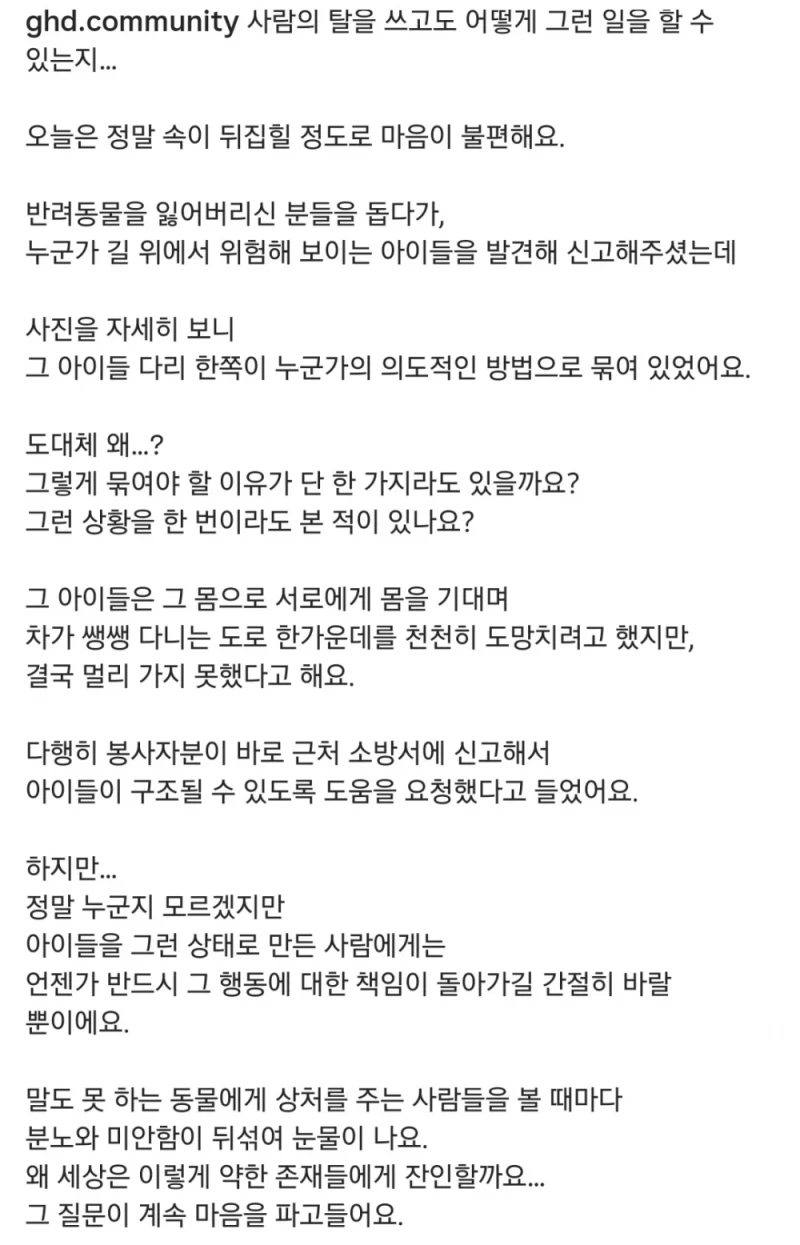 오늘자 강아지 학대 근황 ㄷㄷ-3
