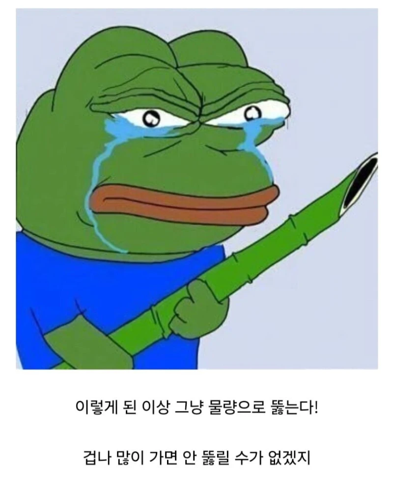 대한민국에 존재하는 149승 1패 요새 -11