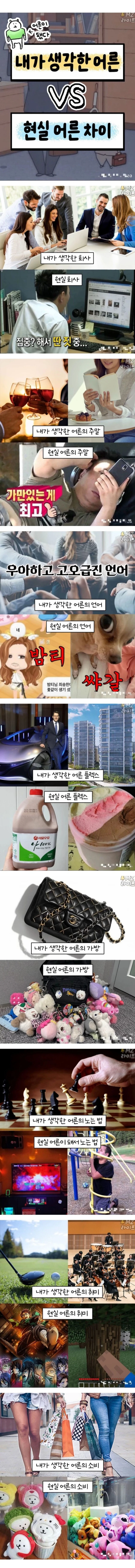 내가 생각한 어른과 현실 어른의 차이점