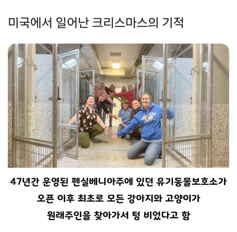 미국에서 일어난 크리스마스의 기적