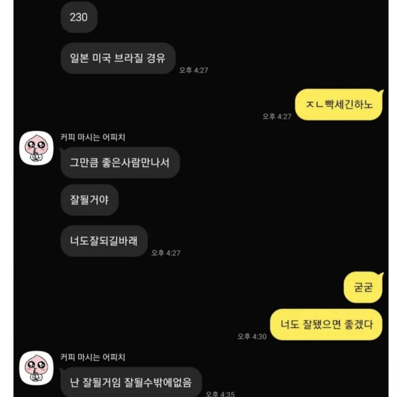 1월에 여자친구 보러 브라질 간다는 친구…-9