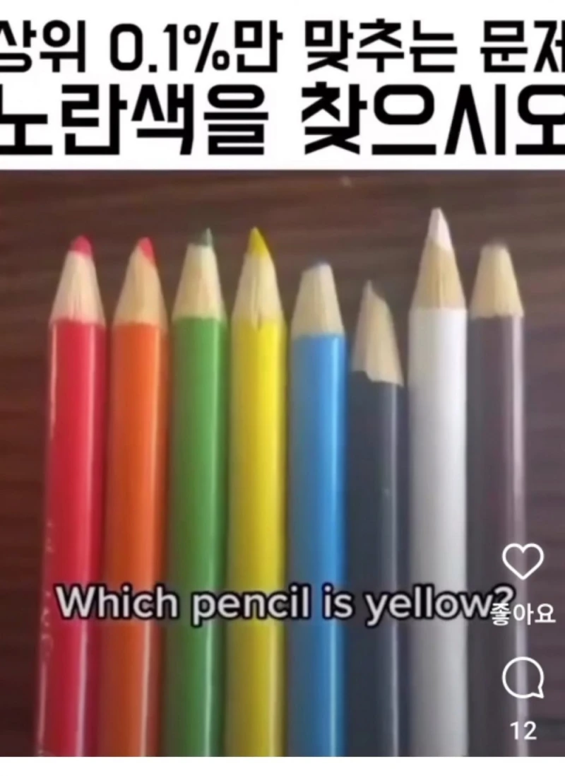 여기서 노란색 찾으면 색 구분 능력 오지는 거-2