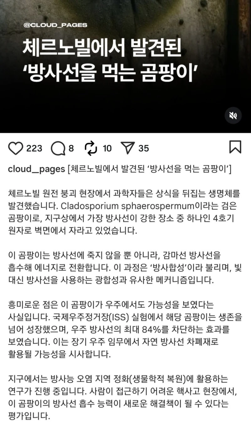 방사능을 먹는 곰팡이 발견