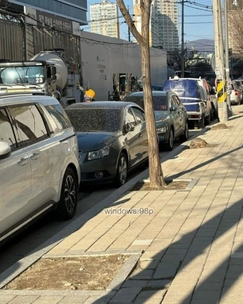 노가다 신입의 충격적인 만행-4