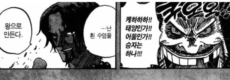 원피스에서 멋있는 설정은 죄다 넣은 캐릭터-8