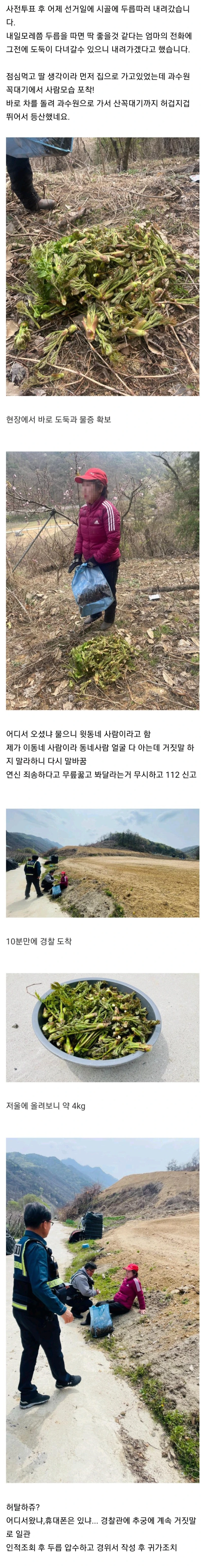 현장에서 두릅도둑을 잡았습니다