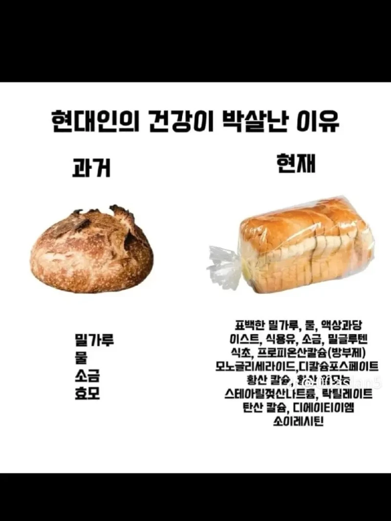 현대인의 건강이 박살난 이유