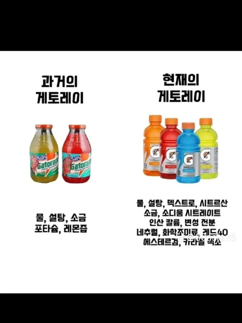 현대인의 건강이 박살난 이유-2