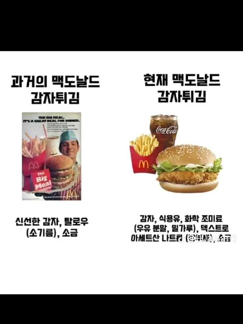 현대인의 건강이 박살난 이유-4