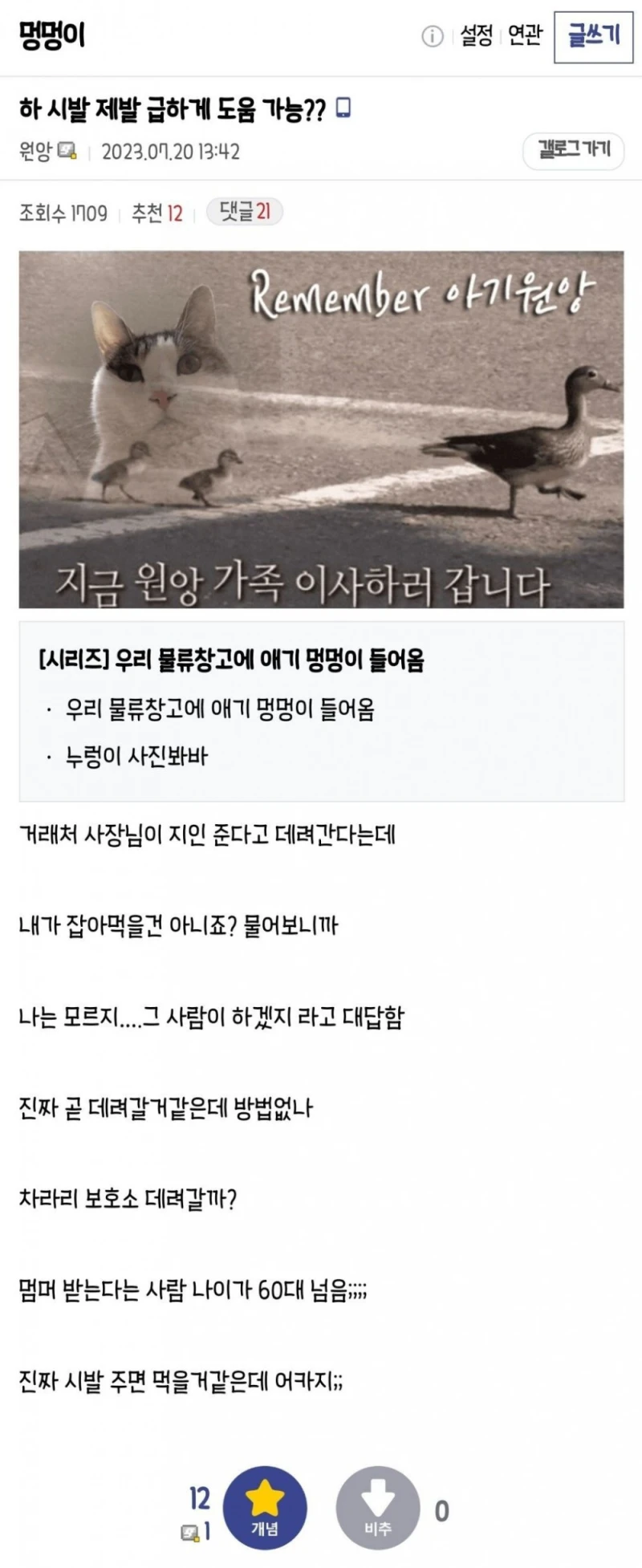 우리 회사 물류창고에 애기 멍멍이 들어옴-3