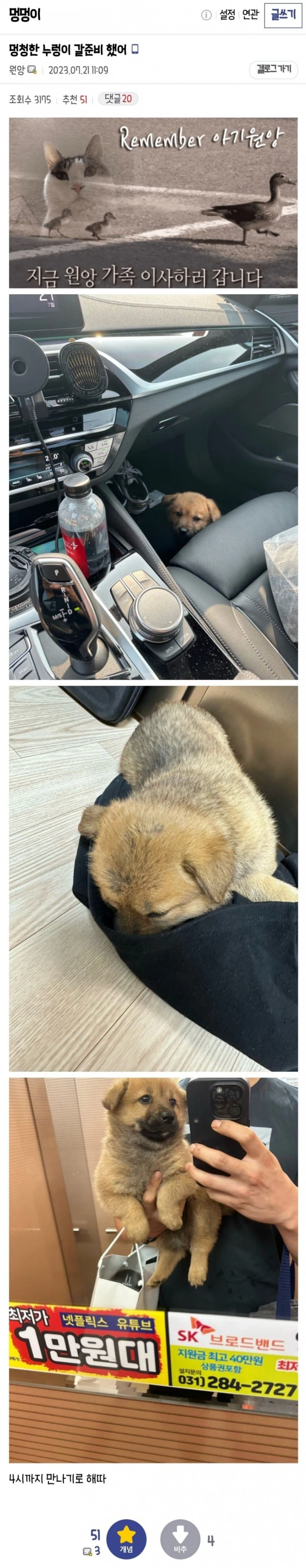 우리 회사 물류창고에 애기 멍멍이 들어옴-5