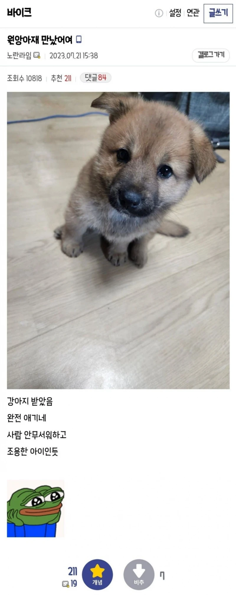 우리 회사 물류창고에 애기 멍멍이 들어옴-7