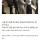 냄새의 차원이 다르다는 인도인의 암내