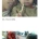 무려 18살 차이나는 여동생의 성장기
