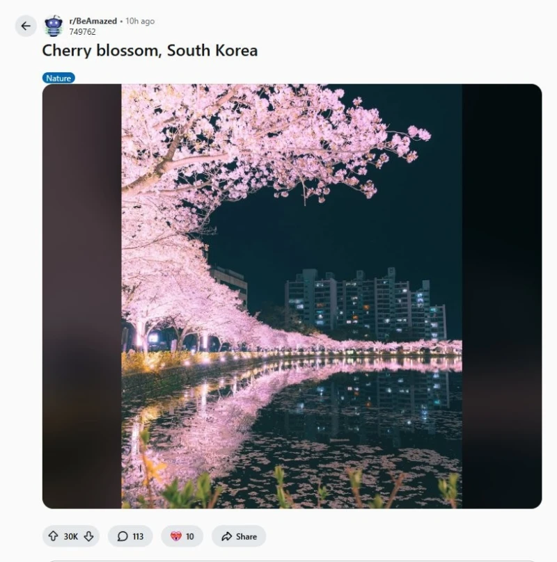 레딧에서 핫한 한국 사진 한 장-2