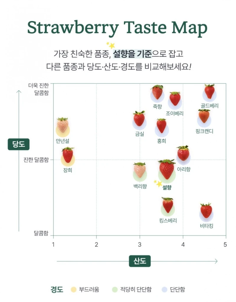 요즘 진짜 퀄리티 미친거 같은 한국 딸기 품종들-9