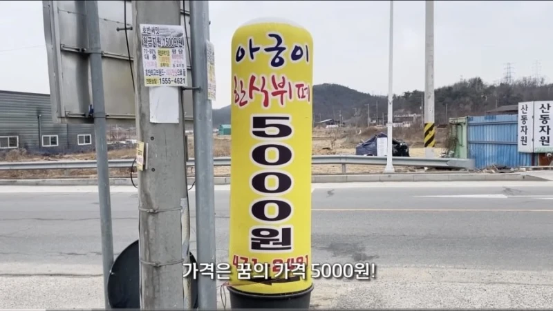 경북 구미에 있다는 5,000원 한식뷔페-3