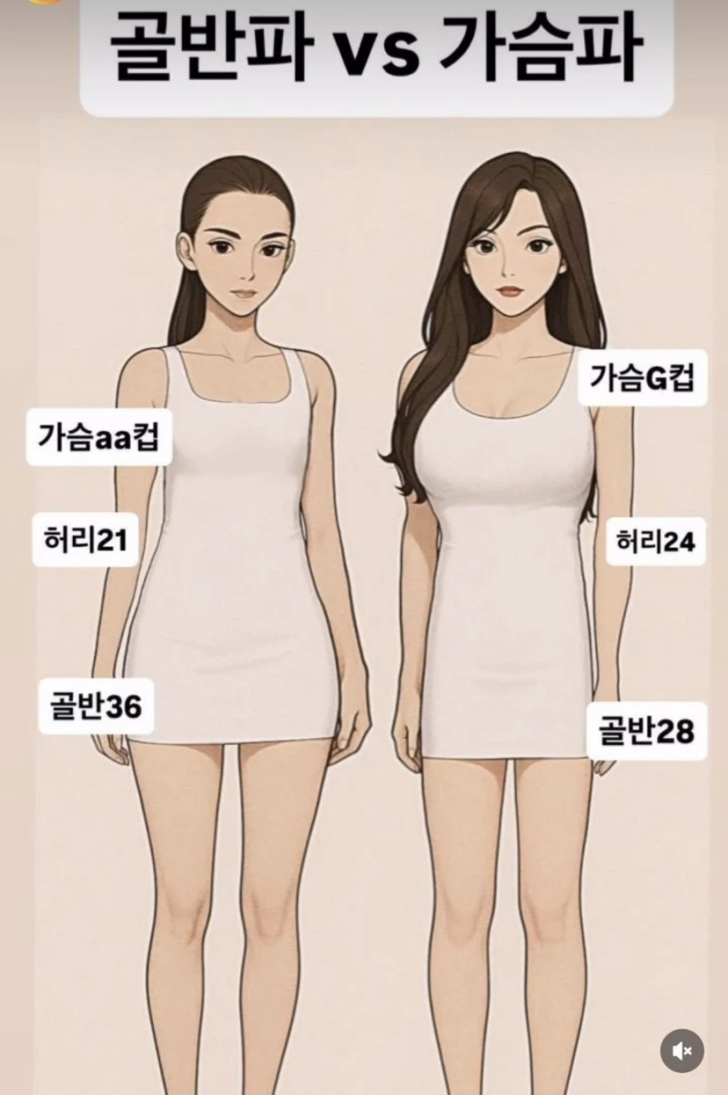 여자의 가장 큰 매력은 골반 vs 가슴