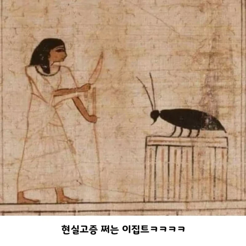 고대 바퀴벌레 크기 수준 ㄷㄷㄷ-5