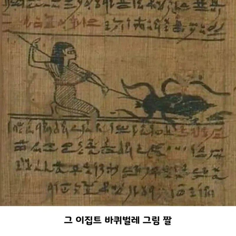 고대 바퀴벌레 크기 수준 ㄷㄷㄷ-6