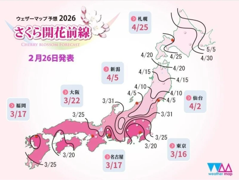 2026년 일본 벚꽃 개화시기와 만개 시기