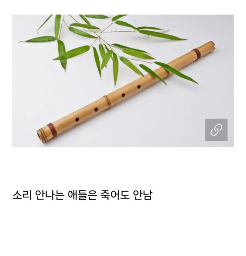 어린 시절 호불호 악기