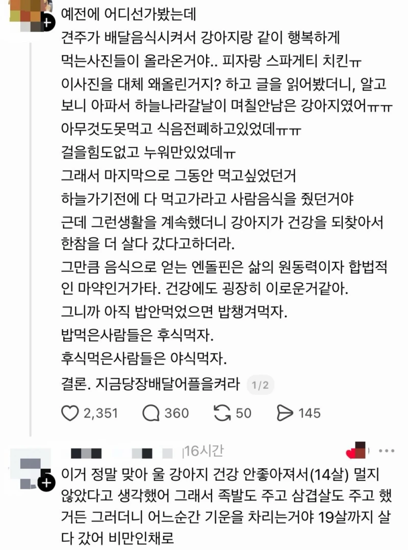 강아지에게 배달음식을 먹인 이유