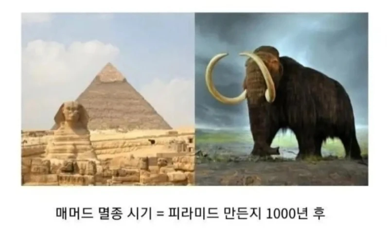 매머드 멸종하기 천년 전에 일어난 큰 사건