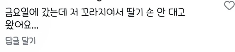 뷔페 딸기 축제 기간 딸기상태 컴플레인 건다 vs 안건다-3