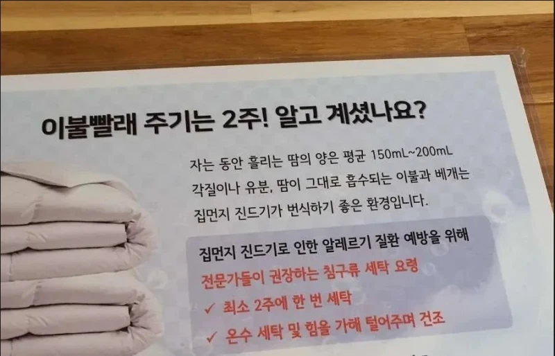 전문가가 권장하는 이불빨래 주기