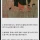 한민족 역사상 중국인들이 가장 착해졌던 시기