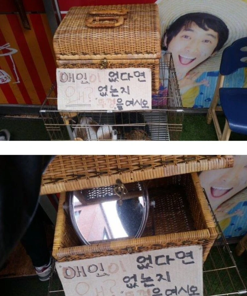 애인이 없다면 왜 없는지 뚜껑을 여시오