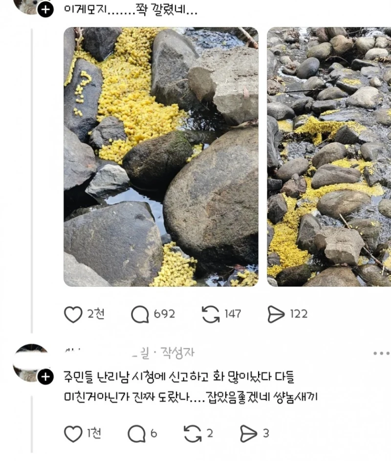 지금 스레드 난리난 스펀지 사건