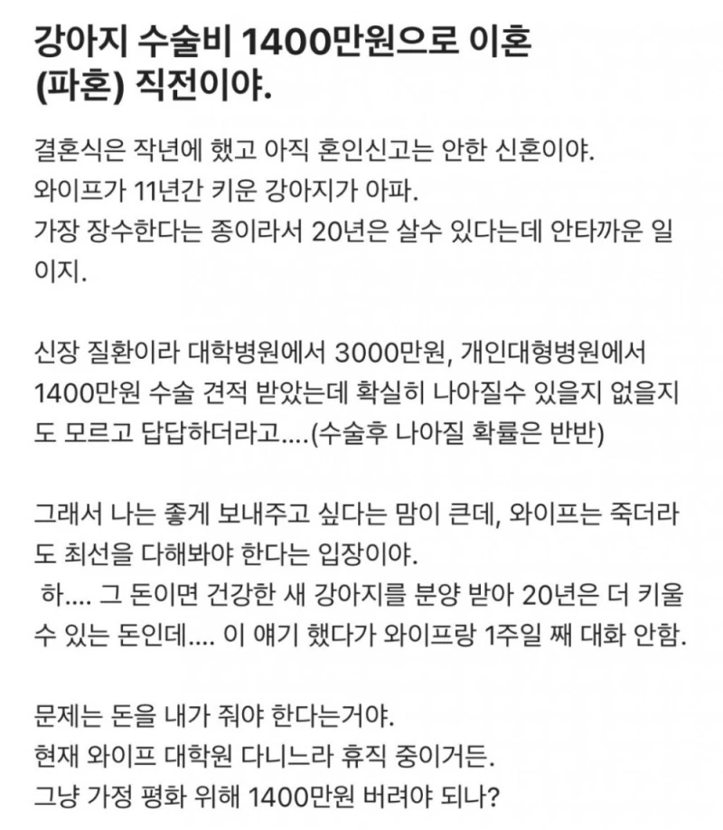 강아지 수술비 1400만원으로 이혼 직전이야...