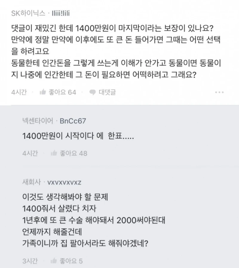 강아지 수술비 1400만원으로 이혼 직전이야...-6
