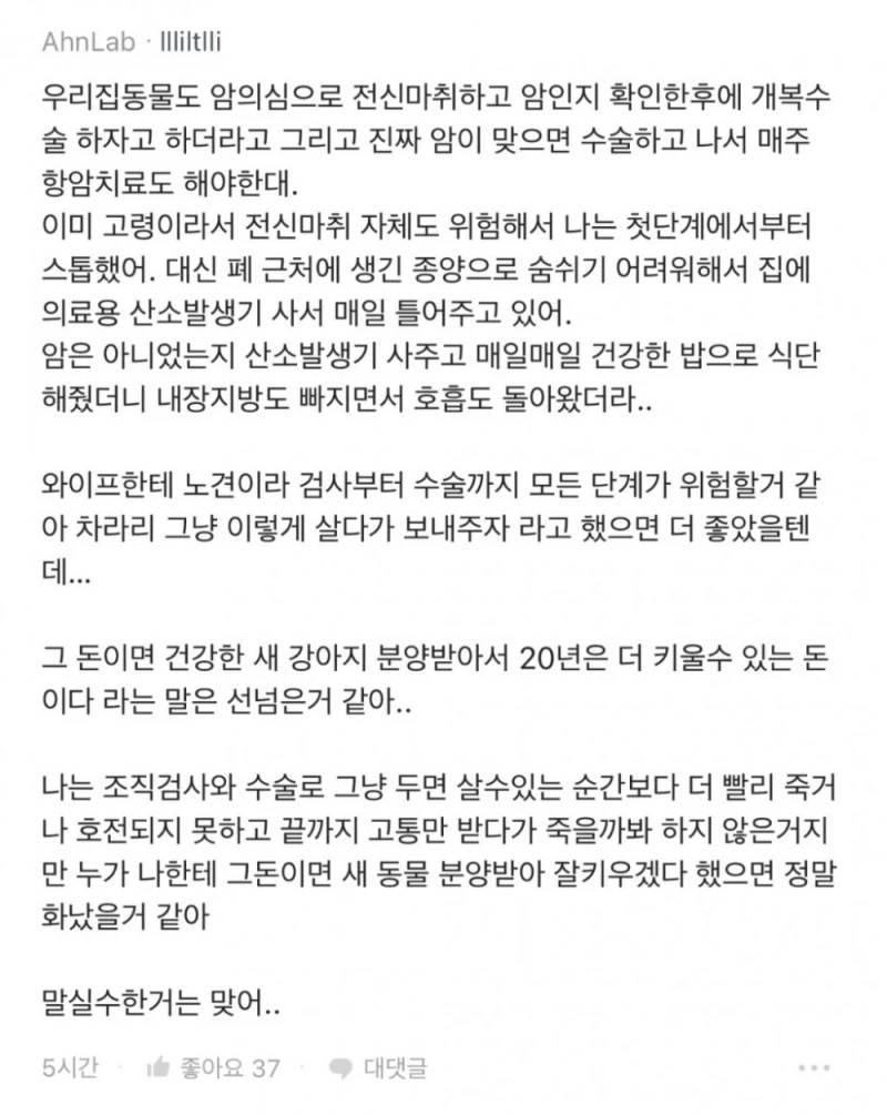 강아지 수술비 1400만원으로 이혼 직전이야...-8