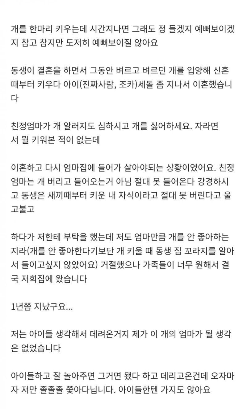 [네이트판] 데려온 개가 도무지 예뻐지질 않습니다-2