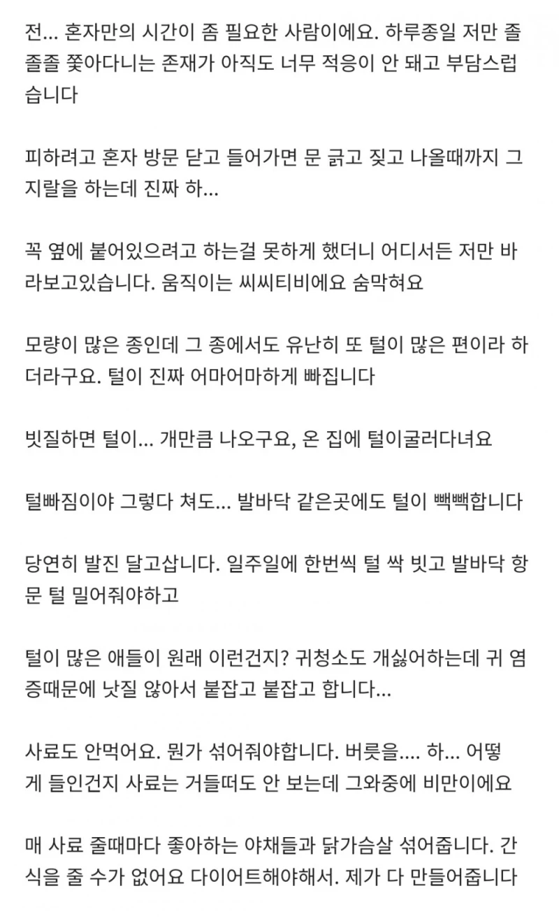 [네이트판] 데려온 개가 도무지 예뻐지질 않습니다-3