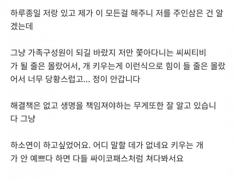 [네이트판] 데려온 개가 도무지 예뻐지질 않습니다-5