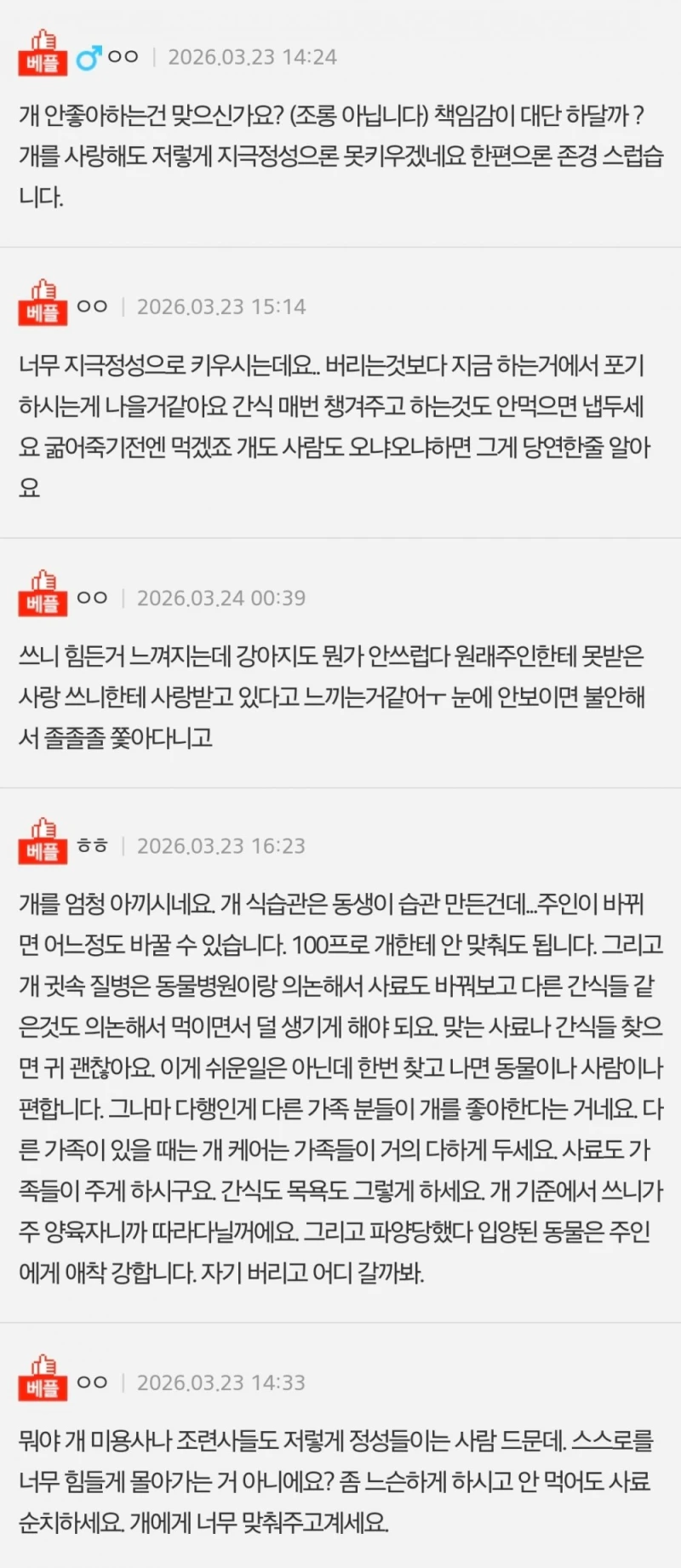 [네이트판] 데려온 개가 도무지 예뻐지질 않습니다-6