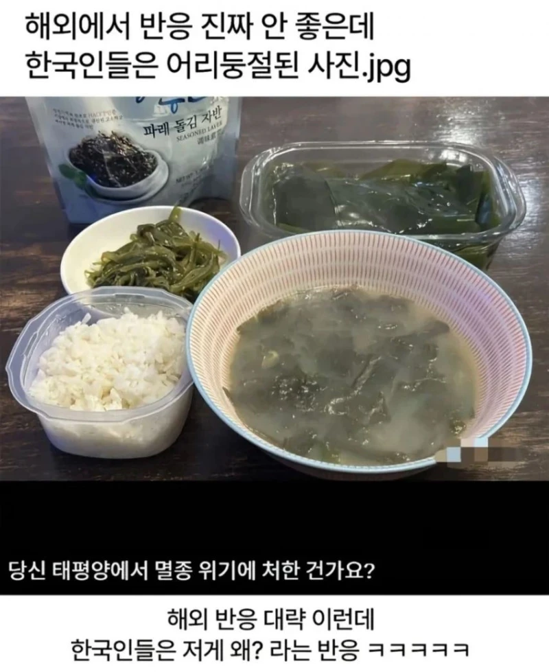 서양인들이 기겁하는 한국인의 식사