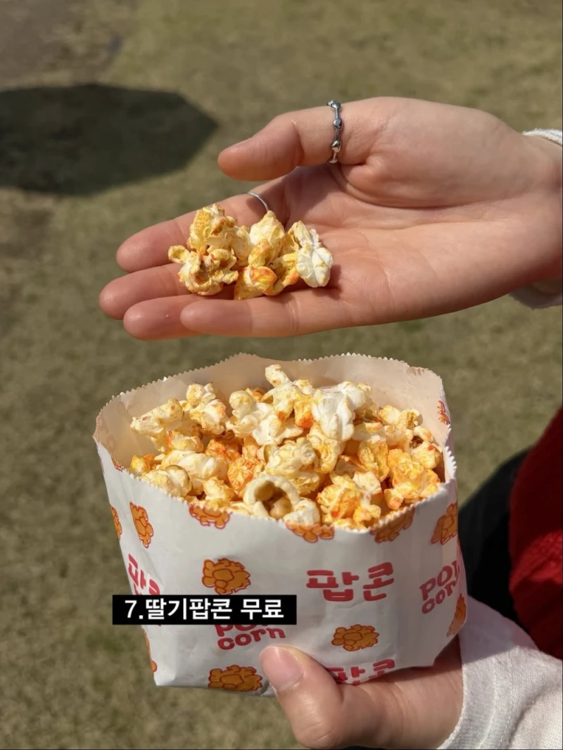 논산 딸기 축제에서 판매 한다는 딸기 먹거리 수준-7