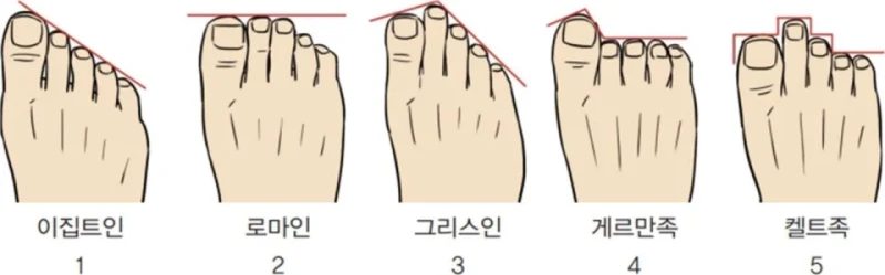 당신의 발은 어느 인종에 가깝습니까