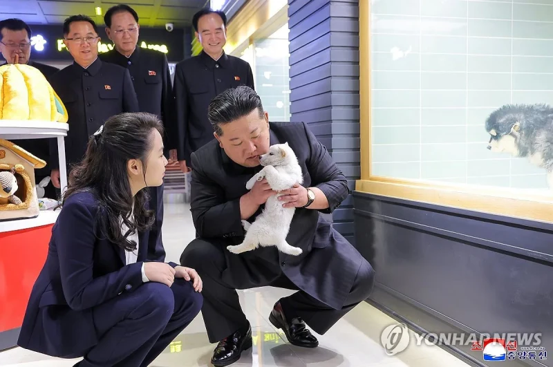 이 와중에 북한 김정은 근황