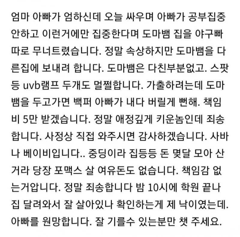 도마뱀 분양 글을 올린 중학생-2