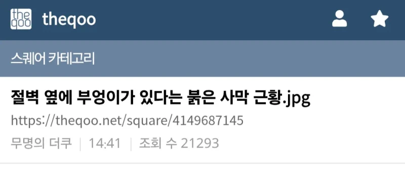 붉은 사막 고인 비하 논란이 개소리인 이유 