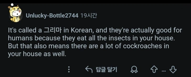 약혐) 한국에서 돈벌레 처음 본 외국인 -3