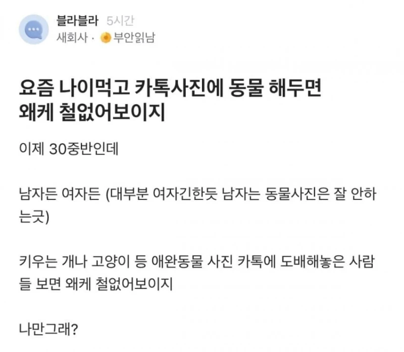요즘 나이먹고 카톡 프사에 동물 해두면 왜케 철없어보이지