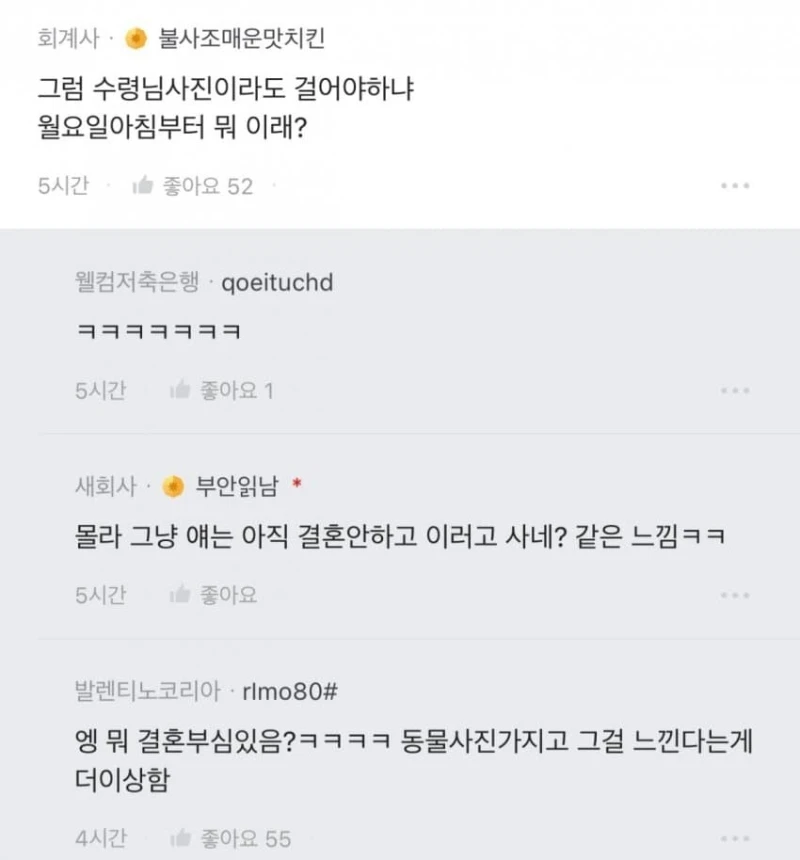 요즘 나이먹고 카톡 프사에 동물 해두면 왜케 철없어보이지-3
